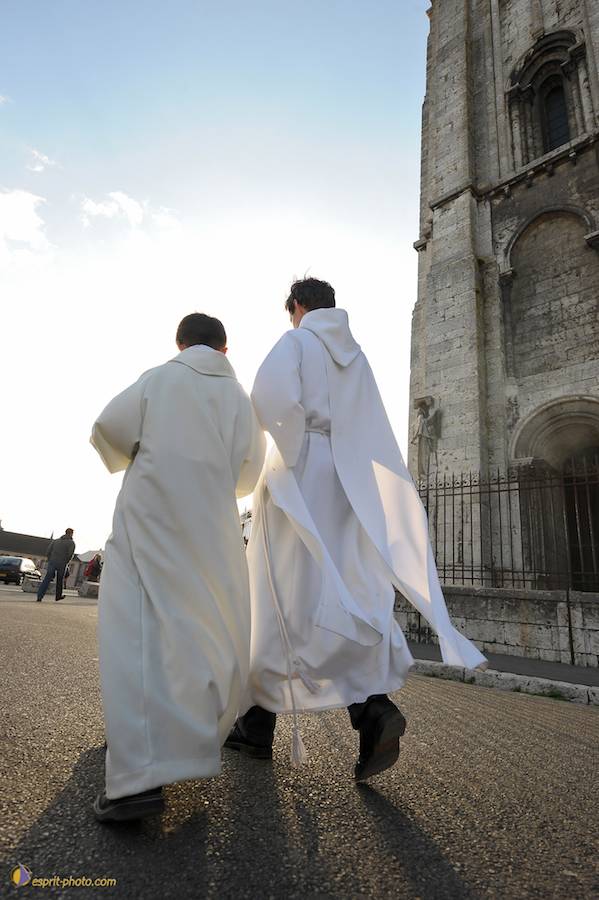 Nom de l'image : D30050180_1_(c)Norbert-JUNG — Description :